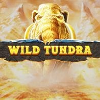 Wild Tundra screenshot